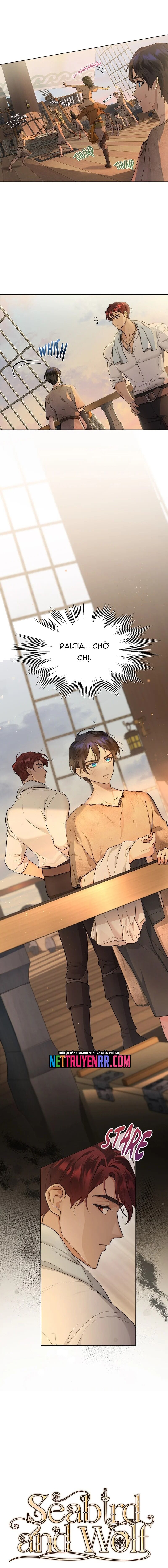 Hải Âu & Sói Hoang Chapter 4 - 6