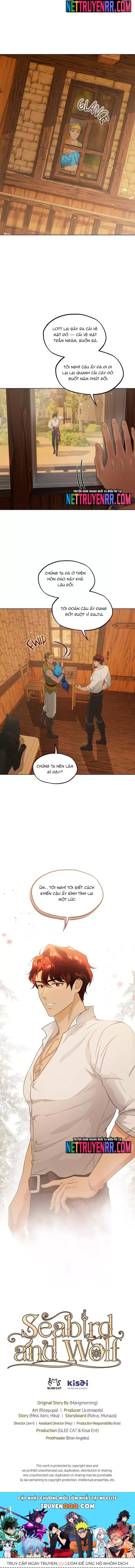Hải Âu & Sói Hoang Chapter 40 - 12