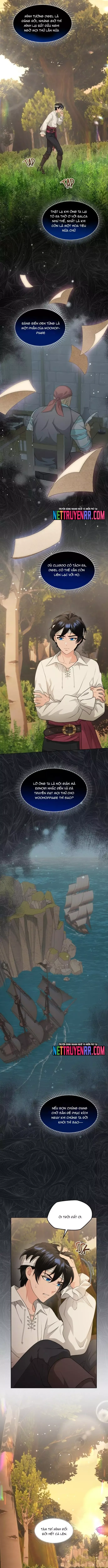 Hải Âu & Sói Hoang Chapter 40 - 10