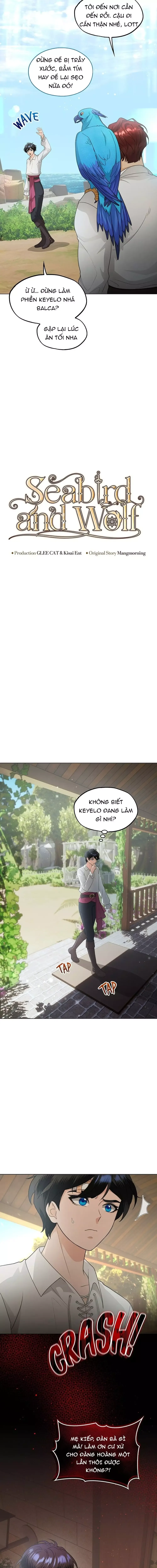 Hải Âu & Sói Hoang Chapter 41 - 4