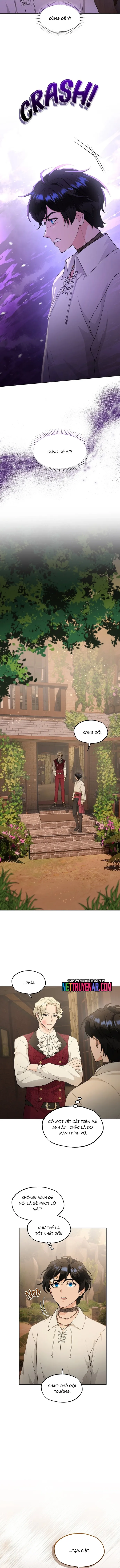 Hải Âu & Sói Hoang Chapter 42 - 8