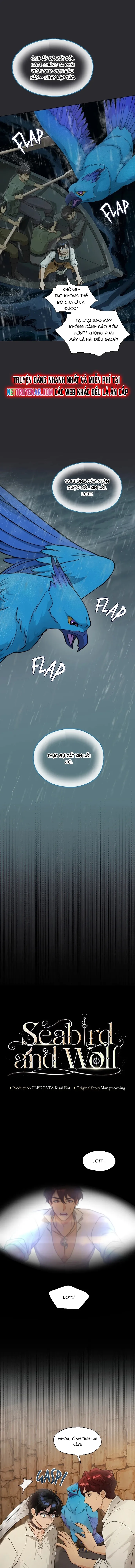 Hải Âu & Sói Hoang Chapter 45 - 2