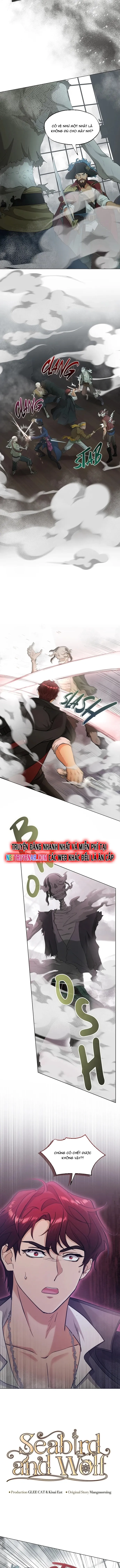 Hải Âu & Sói Hoang Chapter 46 - 5