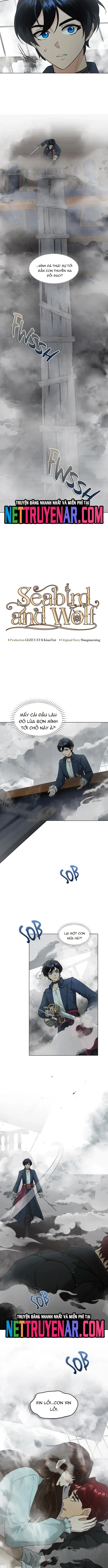 Hải Âu & Sói Hoang Chapter 47 - 6