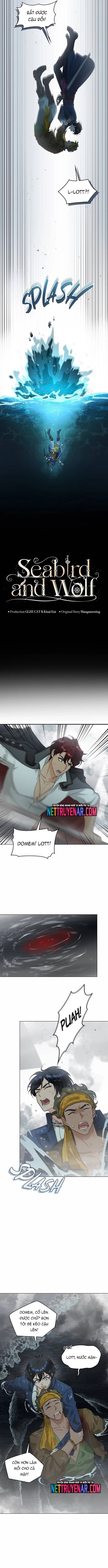 Hải Âu & Sói Hoang Chapter 49 - 3