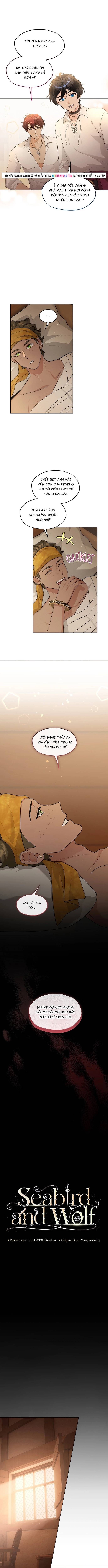 Hải Âu & Sói Hoang Chapter 50 - 4