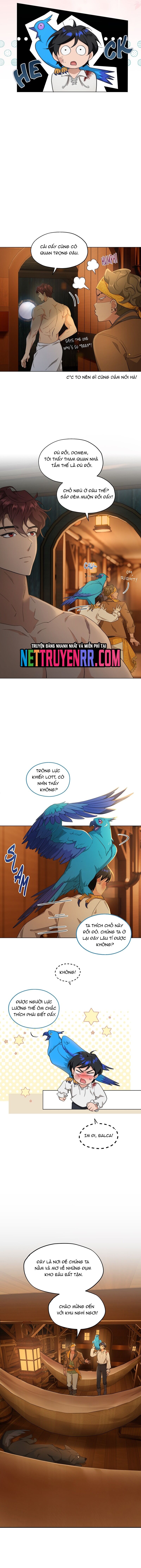 Hải Âu & Sói Hoang Chapter 7 - 9