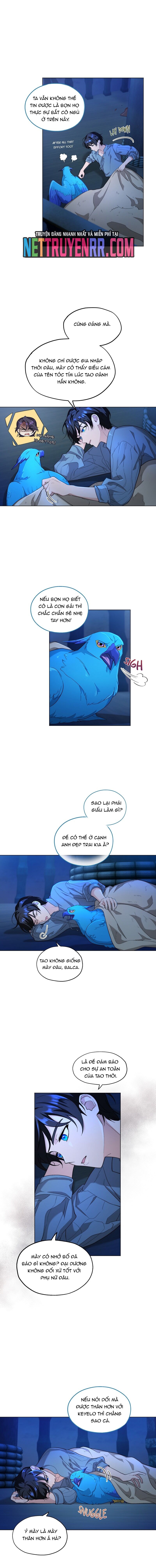 Hải Âu & Sói Hoang Chapter 8 - 2