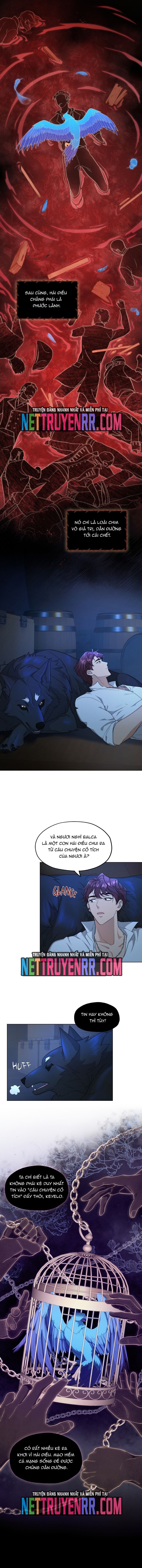 Hải Âu & Sói Hoang Chapter 8 - 7