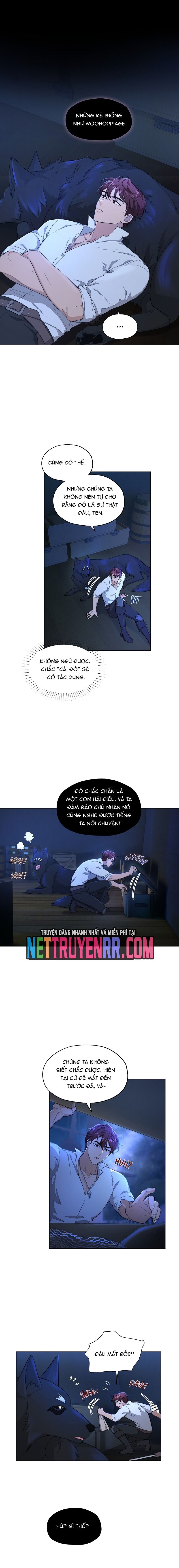 Hải Âu & Sói Hoang Chapter 8 - 8