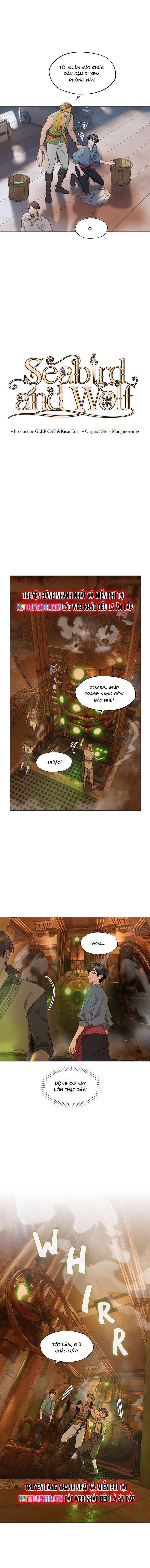 Hải Âu & Sói Hoang Chapter 9 - 9