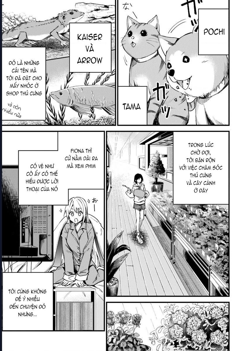 Bị Triệu Hồi Cùng Với Home Center, Tôi Bắt Tay Cải Tạo Đại Mê Cung! Chapter 3.1 - 8