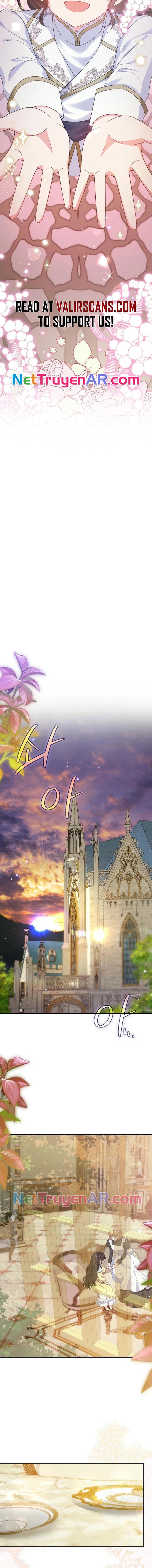 Thiếu Nữ Bị Ruồng Bỏ: Kế Hoạch Báo Thù Của Gia Tộc Pháp Sư Chapter 22 - 10