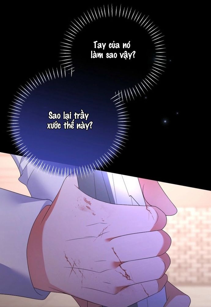 Thiếu Nữ Bị Ruồng Bỏ: Kế Hoạch Báo Thù Của Gia Tộc Pháp Sư Chapter 27 - 12