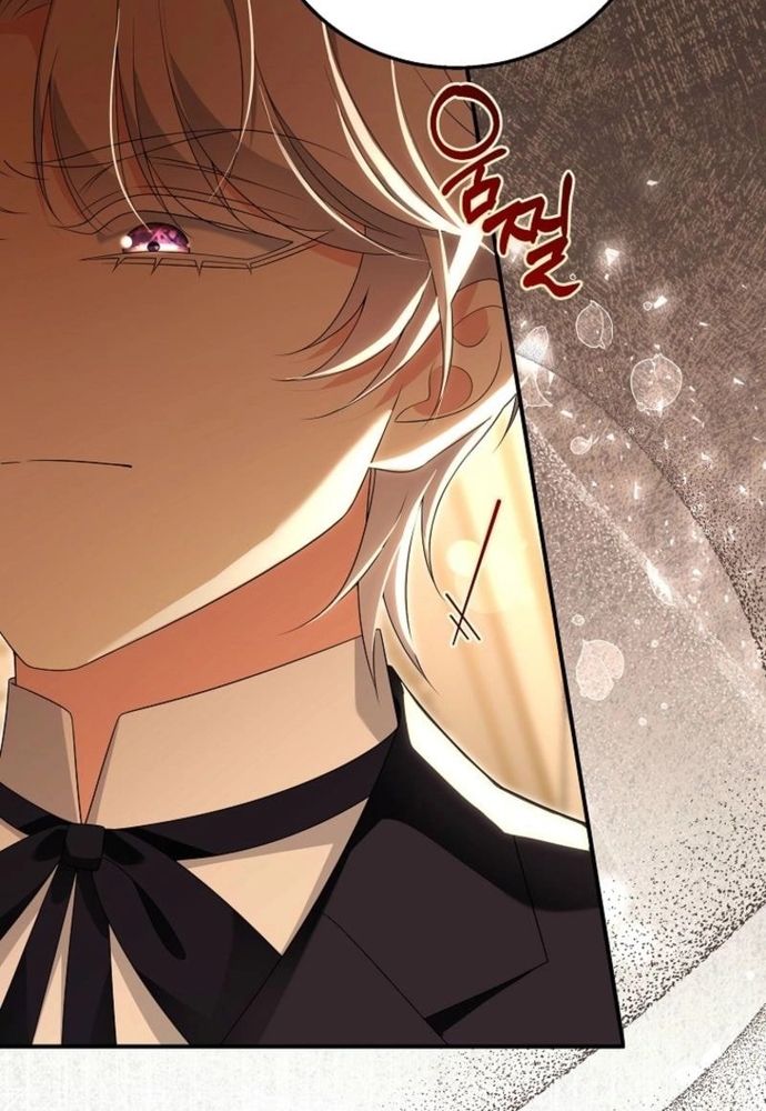 Thiếu Nữ Bị Ruồng Bỏ: Kế Hoạch Báo Thù Của Gia Tộc Pháp Sư Chapter 33 - 104