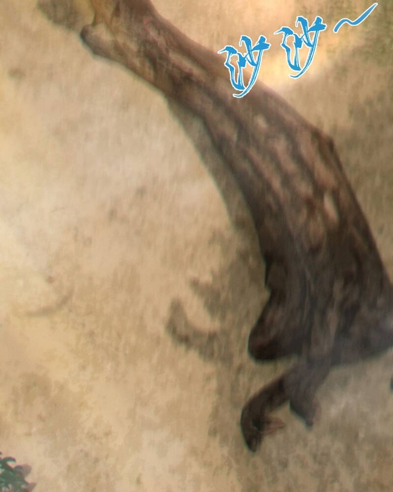 Kẻ Thù Truy Cùng Diệt Tận Lại Biến Thành Đạo Lữ Của Tôi Chapter 1 - 3