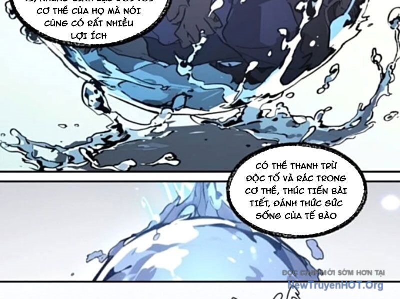 Thành Thần Bắt Đầu Từ Một Hồ Nước Chapter 11 - 24