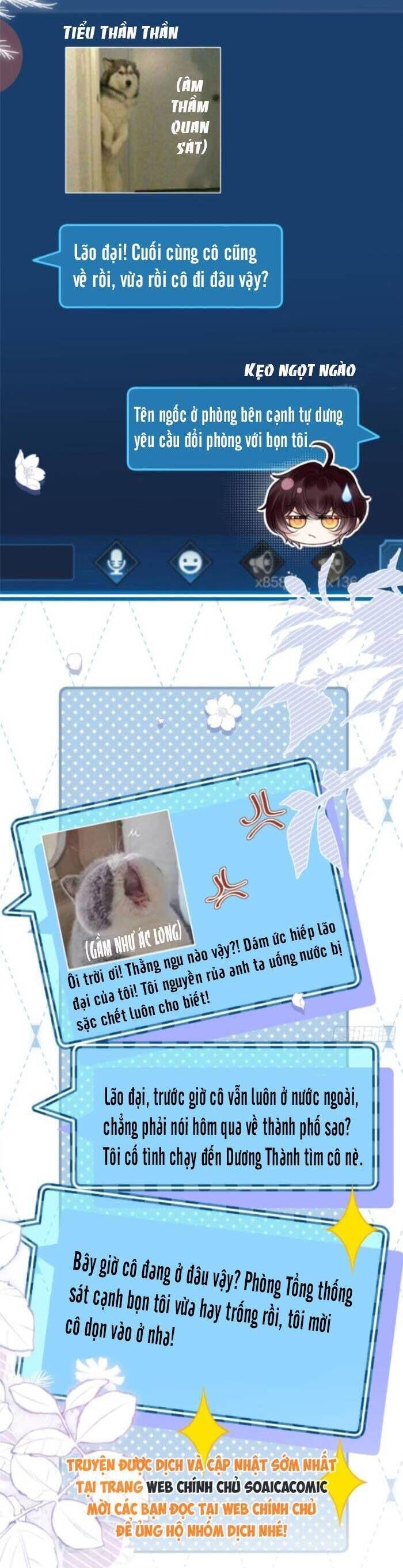 Sự Trở Lại Cực Gắt Của Chị Đại Sau Hủy Hôn Chapter 13 - 17