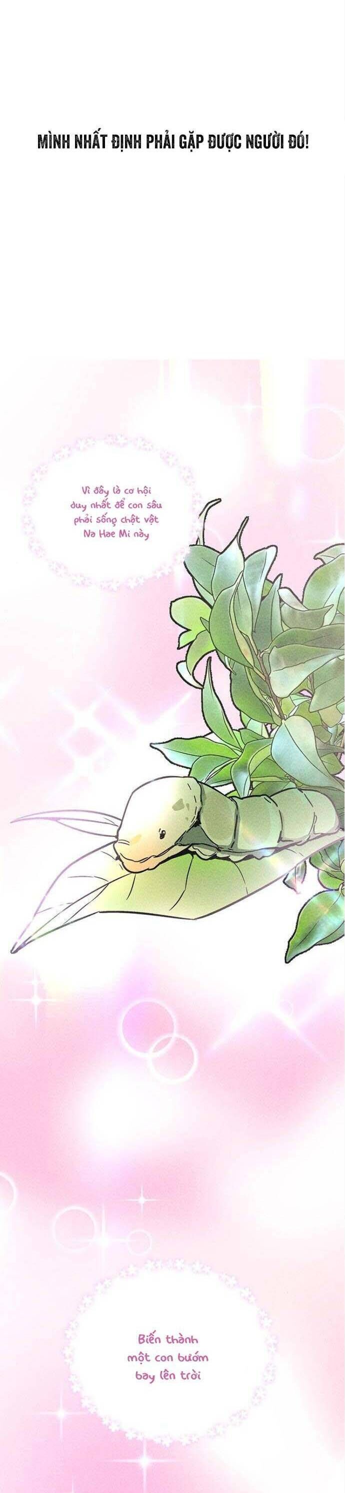 Đời Tư Của Chị Tôi Chapter 5 - 18