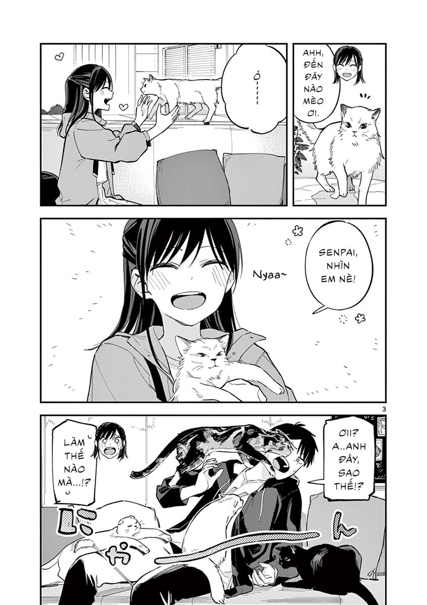 Hậu Cung Giả Tạo Chapter 88.5 - 4