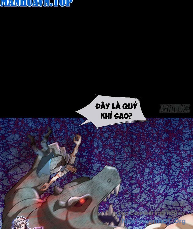 Toàn Cầu Sợ Hãi: Tôi Mở Hack Tự Chọn Cửa Hàng Chapter 13 - 46