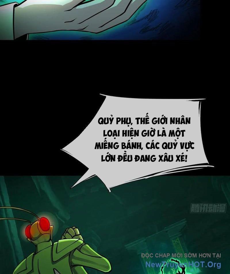 Toàn Cầu Sợ Hãi: Tôi Mở Hack Tự Chọn Cửa Hàng Chapter 16 - 6