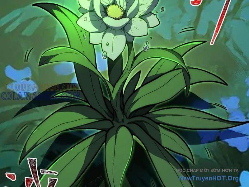 Sau Khi Chia Tay Hoa Khôi, Võ Đạo Của Ta Thẳng Tới Cấp Thần Chapter 15 - 11