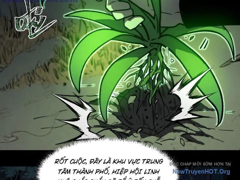 Sau Khi Chia Tay Hoa Khôi, Võ Đạo Của Ta Thẳng Tới Cấp Thần Chapter 15 - 24