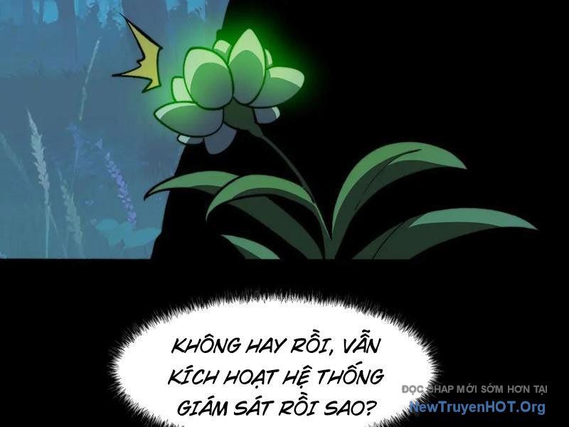Sau Khi Chia Tay Hoa Khôi, Võ Đạo Của Ta Thẳng Tới Cấp Thần Chapter 15 - 34