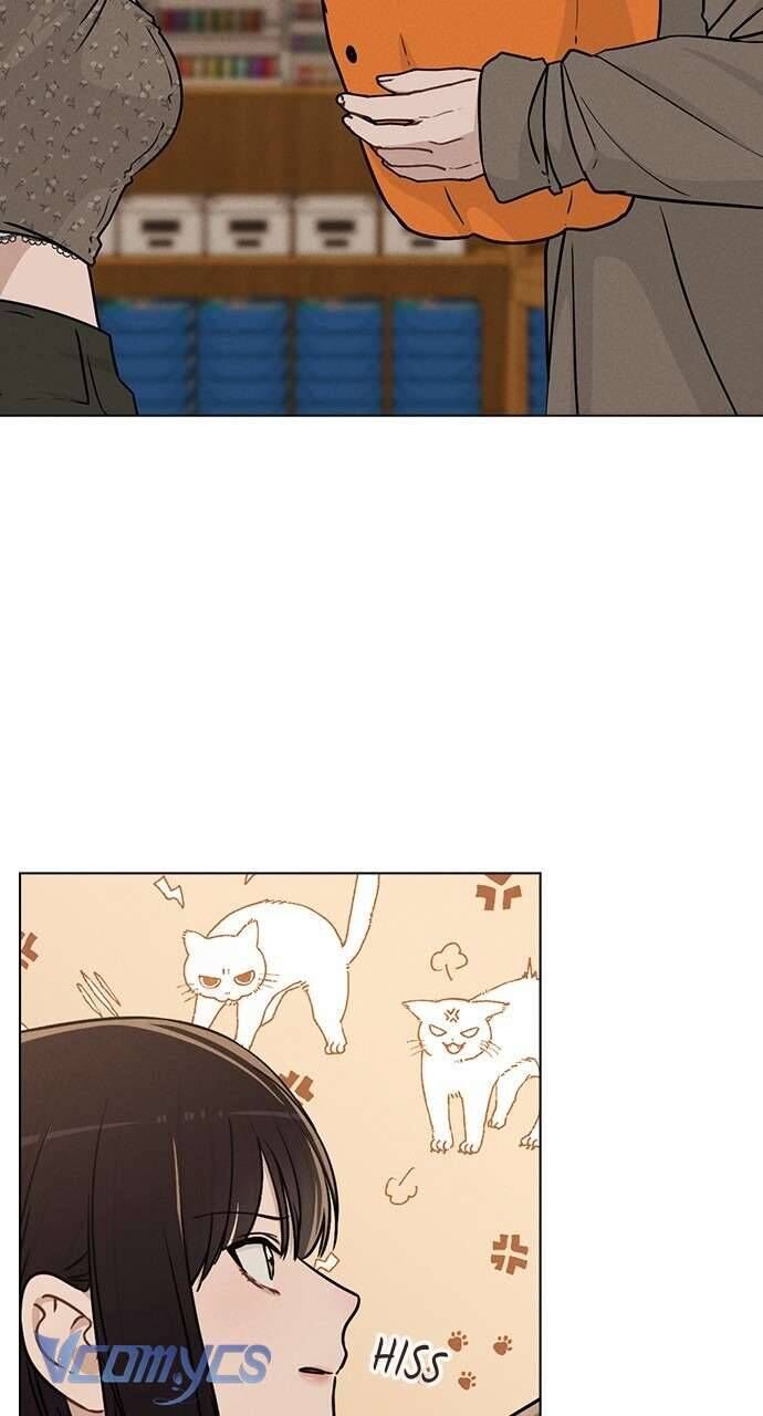 Review Người Yêu Cũ Chapter 13 - 61