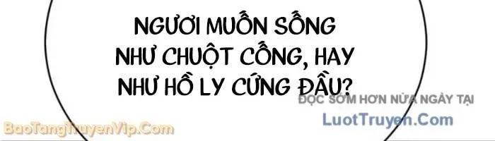 Quyền Vương Phục Sinh Chapter 22 - 274