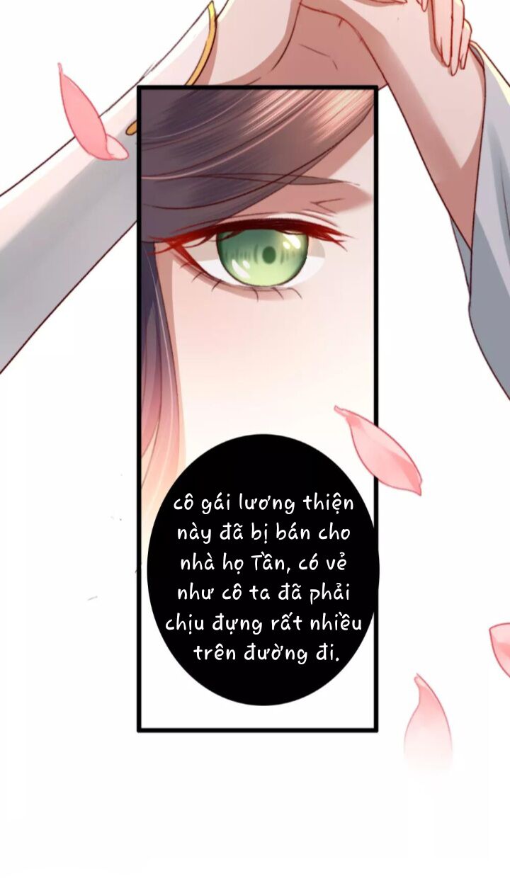 Hành Trình Huy Hoàng Chapter 10 - 6