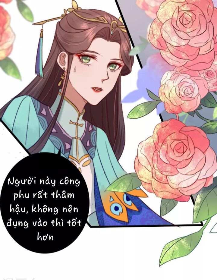 Hành Trình Huy Hoàng Chapter 11 - 11