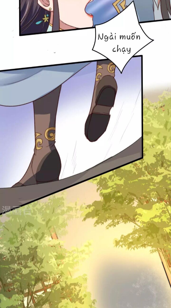 Hành Trình Huy Hoàng Chapter 12 - 17