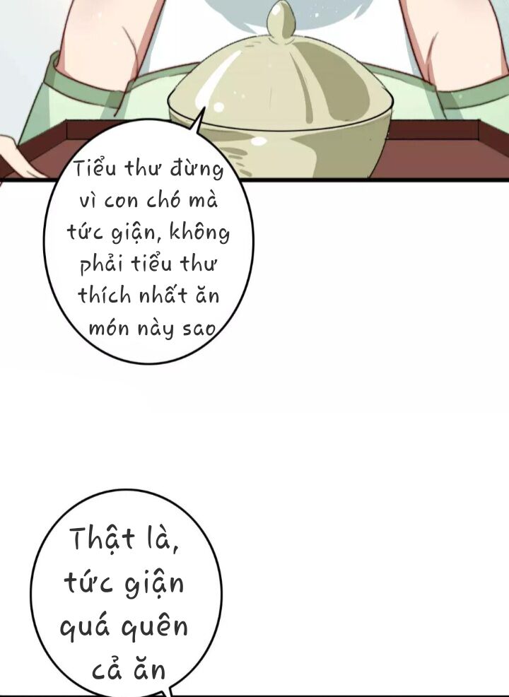 Hành Trình Huy Hoàng Chapter 12 - 26