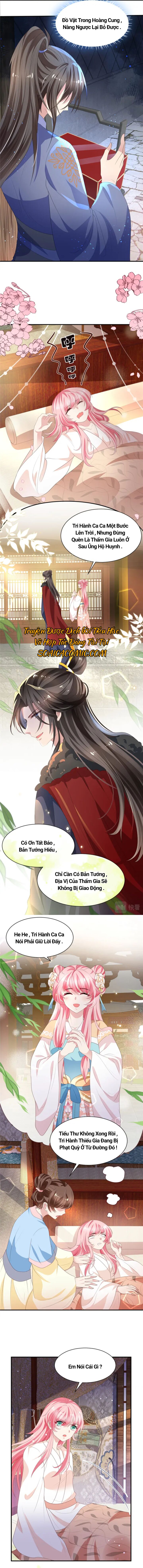 Sau Khi Trọng Sinh Mỗi Ngày Ta Đều Công Lược Kẻ Thù Chapter 4 - 4