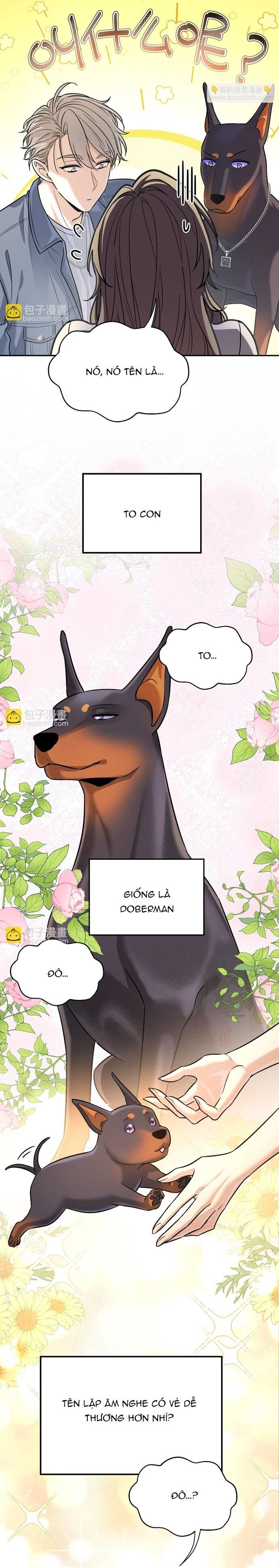 Vô Tình Kết Hôn Với Tổng Tài Chapter 12 - 6