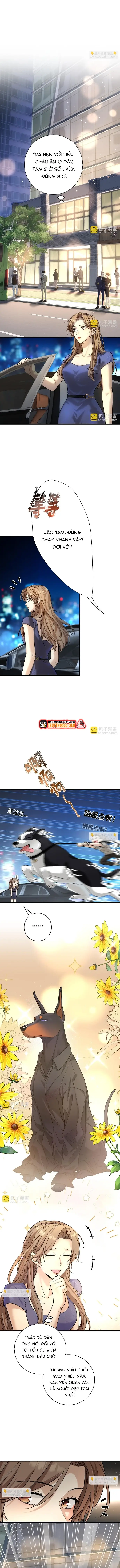 Vô Tình Kết Hôn Với Tổng Tài Chapter 30 - 7