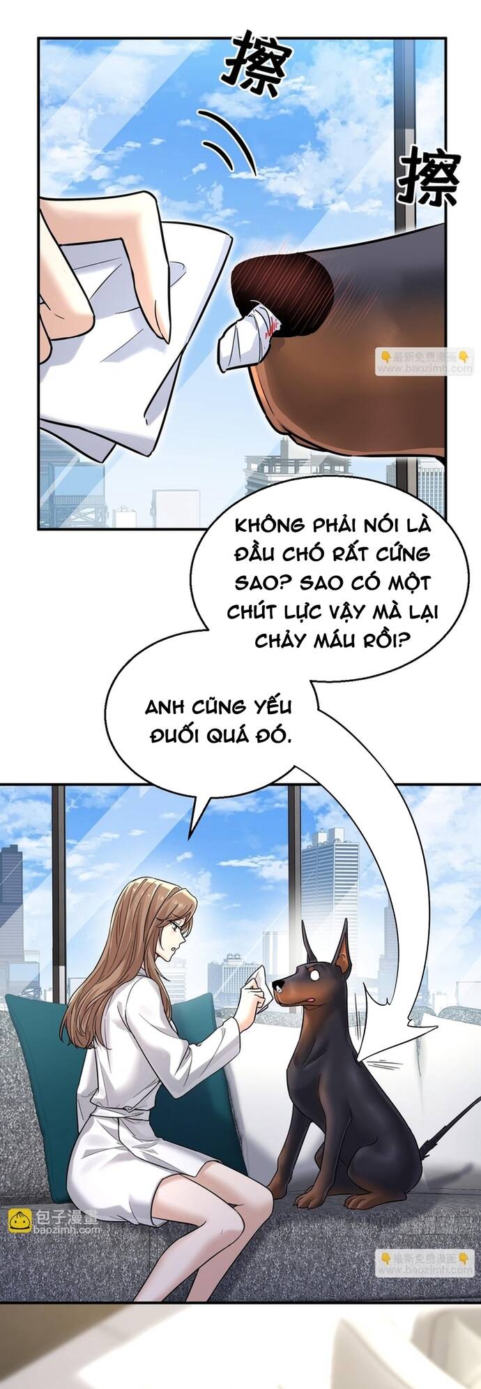 Vô Tình Kết Hôn Với Tổng Tài Chapter 6 - 25