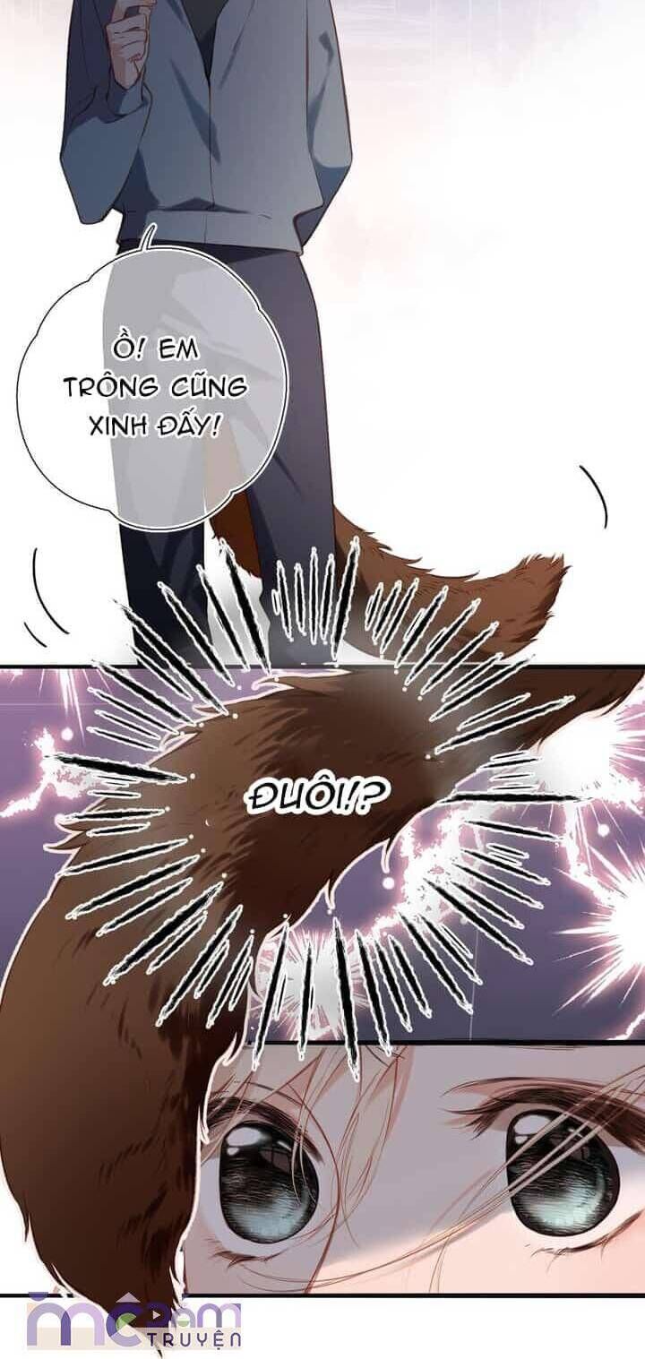 Dã Thú Khi Yêu Chapter 31 - 7