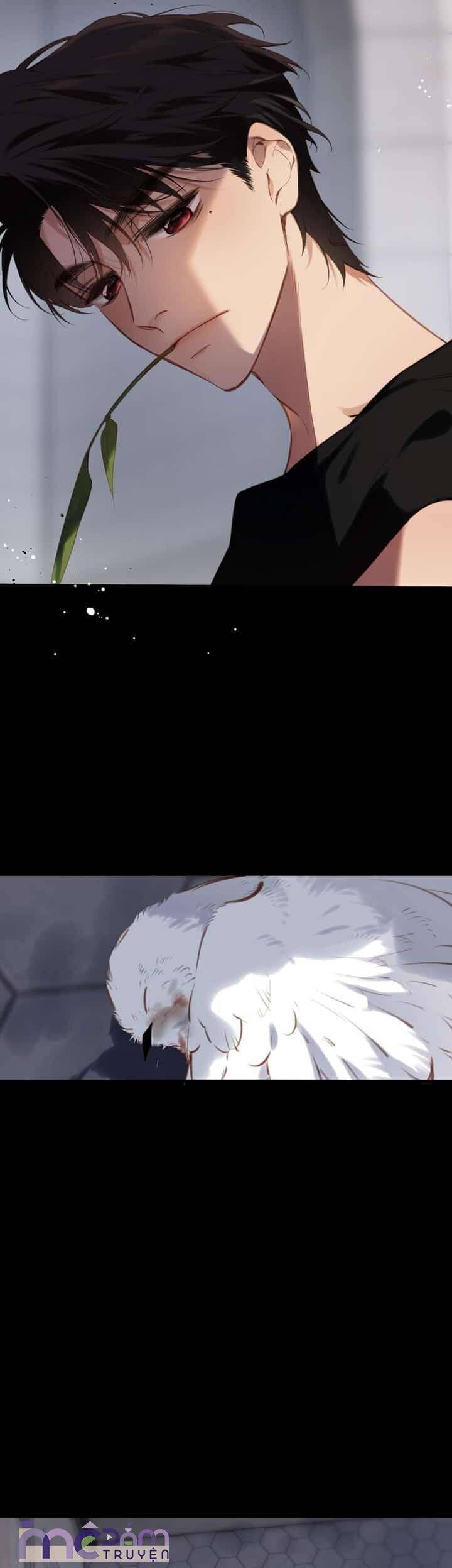 Dã Thú Khi Yêu Chapter 33 - 12