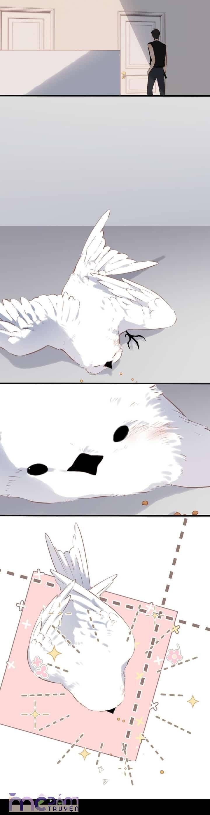 Dã Thú Khi Yêu Chapter 33 - 20