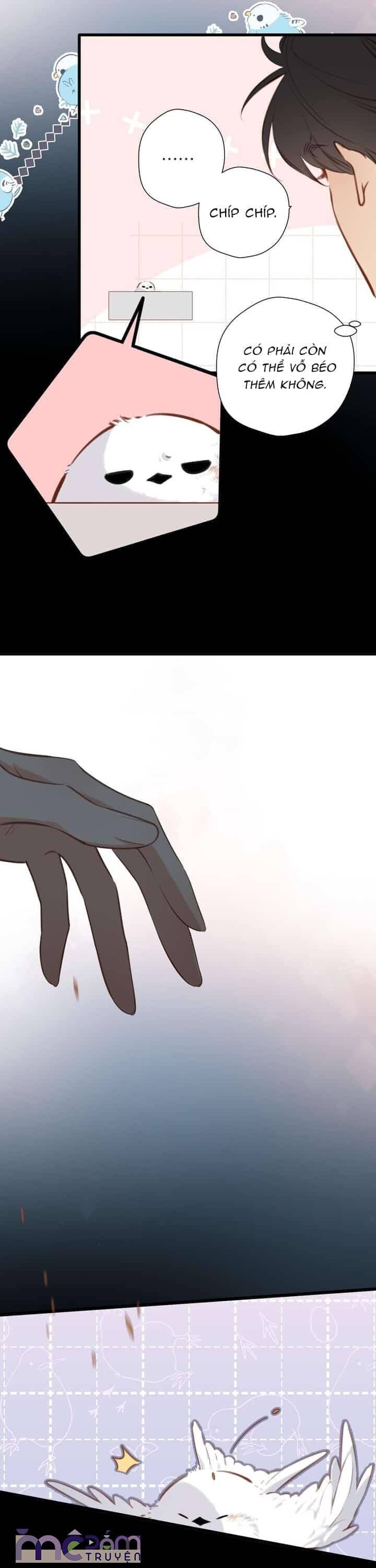 Dã Thú Khi Yêu Chapter 33 - 22