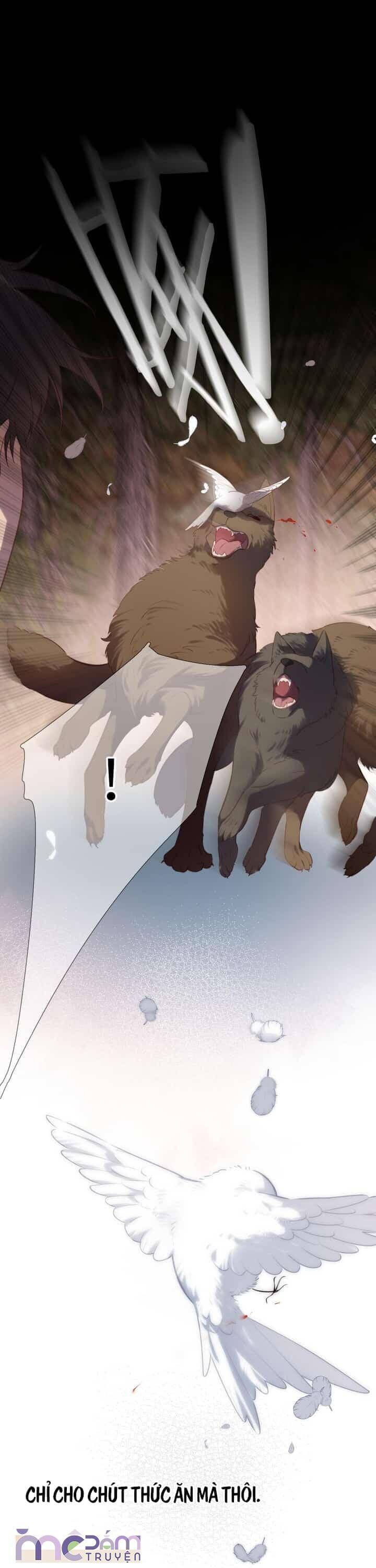 Dã Thú Khi Yêu Chapter 33 - 30