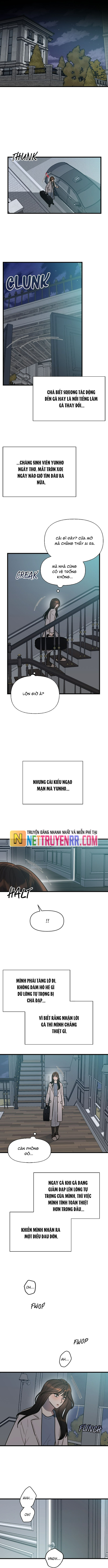 Cạm Bẫy Thanh Lịch Chapter 11 - 7