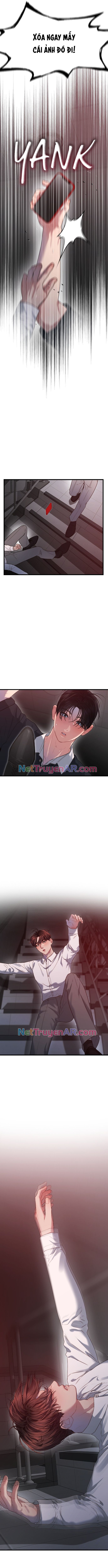 Cạm Bẫy Thanh Lịch Chapter 67 - 11