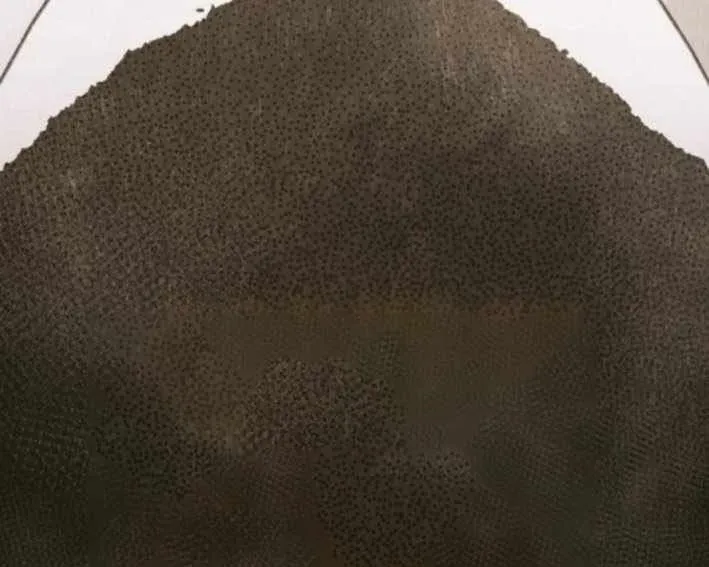 Ta Chi Phối Địa Ngục Chapter 30 - 216