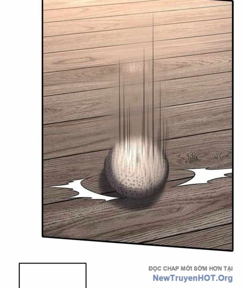 Hồi Quy: Tận Thế Báo Thù Chapter 10 - 17