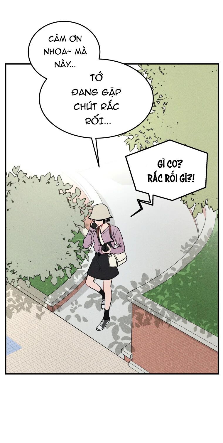 Chụp Lại Tiếng Yêu Chapter 2 - 12