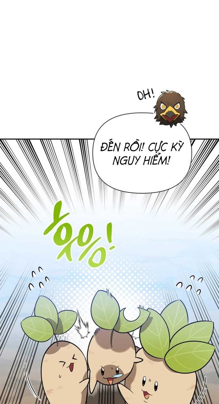 Healer Cấp S Chữa Trị Cho Quái Vật Chapter 0 - 17